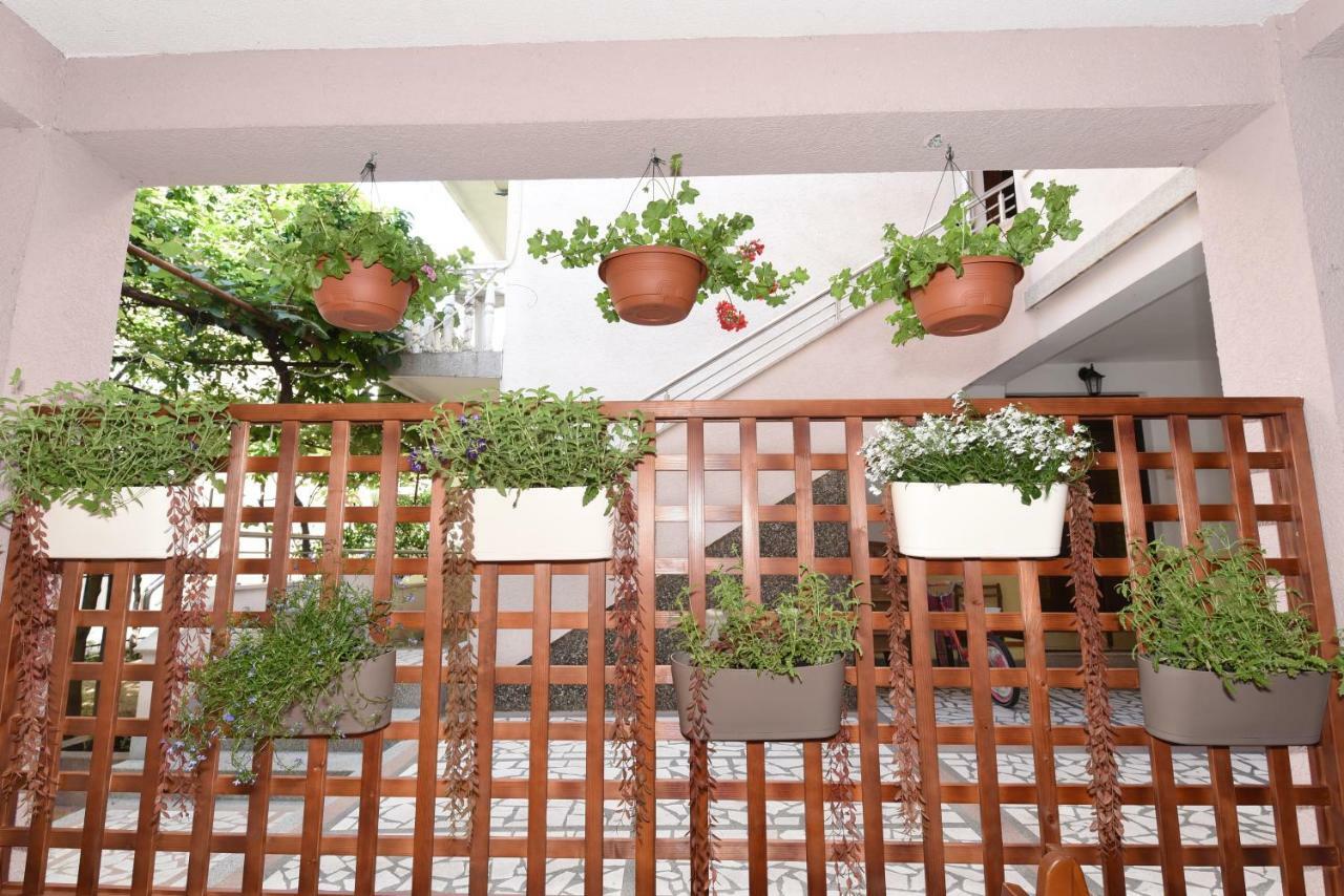 Guest House Zec Будва Екстериор снимка