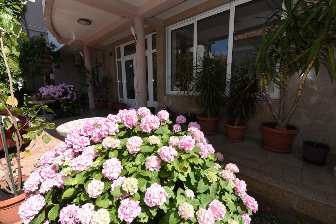 Guest House Zec Будва Екстериор снимка